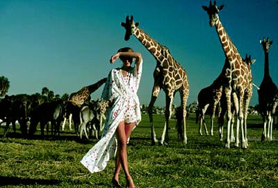 Julie and the giraffes
